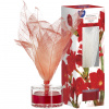 BISPOL-AURA Vonný difuzér Red Flowers - sklo 50ml