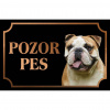 Anglický buldog - Kovová tabuľka POZOR PES