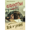 Karanténa. Rok v prdeli