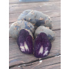 Sadbové zemiaky PURPLE RAIN 2,5 KG