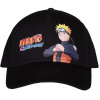 Naruto Shippuden Logo and Character