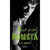 Víc než pomsta - R. A. Smyth