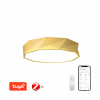Immax neo 07132-G60