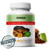 MycoMedica Chaga 50% 90 caps