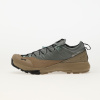 Tenisky Salomon Alpinway Advanced Sedsa/ FalRoc/ Blue EUR 46 EUR 46