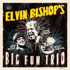 BISHOP, ELVIN - ELVIN BISHOP'S BIG FUN TRIO, CD