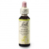 Dr. Bach Esence White Chestnut 20 ml