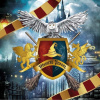 Guirca Servítky Harry Potter 33x33cm