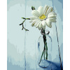 Maľovanie podľa čísel Gaira Kopretina M5159 (M5159YI)