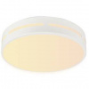 LED stropné svietidlo IMMAX NEO LITE PERFECTO SMART, kruh, 30cm, 24W, TUYA Wi-Fi (07153-W30) biele