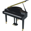 Pearl River GP 1100 Čierne Digitálne grand piano