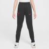 Nike Liverpool Strike Third Tracksuit Bottoms 2024 2025 Juniors Grey 11-12 rokov