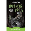 E-kniha Stíny nad Malinovým vrchem: Napěněný příliv - Dominik Fiala