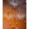 FELIX