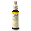 Dr. Bach Esence Wild Oat 20 ml