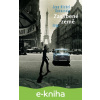 E-kniha Zaslíbené země - Jean-Michel Guenassia