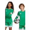 Detské tričko s dlhým rukávom adidas Performance zelená farba, s potlačou, JN7491 152