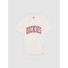 Béžové tričko DICKIES AITKIN SHORT SLEEVE TEE BEIGE Farba: Biela, Veľkosť: M