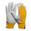 Gebol 703431 UNI FIT COMFORT pracovní rukavice kozinková useň - velikost 8 (blistr)