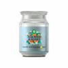 Air Wick vonná svíčka ve skle Teak Wood&Sea Salt s esenciílnimi oleji 480g