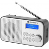 GoGEN DAB 300 N, stříbrný GOGDAB300N