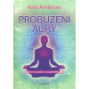 Fontána Probuzení aury (Ambrose Kala), Novinka