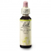Dr. Bach Esence Wild Rose 20 ml