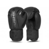 Boxerské rukavice DBX BUSHIDO B-2v22