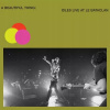 A Beautiful Thing: Idles Live At Le Bataclan Idles Vinyl
