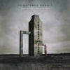 Frightened Rabbit - Painting Of A Panic Attack / Vinyl [LP]