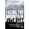 Facing The Mountain