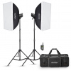 Godox MS300V-F Dual Kit set štúdiových bleskov 2x 300Ws