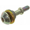 SKRUTKA KRYTU VENTILOV CAN AM DS 450 CAN-AM OEM# 420241625