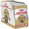 Royal Canin Maine Coon 12 x 85g