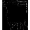 Radek Lampa architekt - Radek Lampa