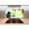 Panel do kuchyne Plumeria a bambus 100x50 cm