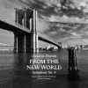 Dvořák Antonín - From The New World / Symphony No.9 / Vinyl [LP]