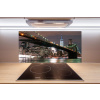 Panel lacobel Manhattan New York 100x50 cm