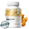 MycoMedica BIO Agaricus PRO 90 caps MycoMedica BIO Agaricus PRO 90 caps