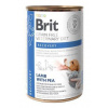 Brit VD Dog+Cat GF konz Recovery 400g