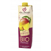 Hollinger Bio Nektar mango 1l