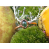 Amulet 