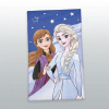Detské uteráky Frozen