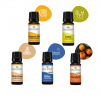 WELLNESS DOMA