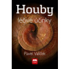 Houby a jejich léčivé účinky (Pavel Vašíček)(Pevná)