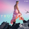 Pink: Trustfall / Tour D… (Pink)