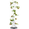 Gusta Garden Sissi Strawberry classic samozavlažovací kvetináč, 6 poschodí, biely GG-100519