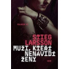 Muži, kteří nenávidí ženy - Larsson Stieg