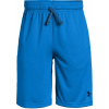 Under Armour Kraťasy Under Armour Prototype Wordmark Short