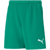 Detské šortky Team RISEShort Jr 704943 05 - Puma 128CM